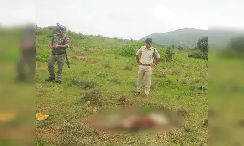 मणि लेने आए उत्तर प्रदेश के व्यक्तियों के साथ हुई लूट, एक की निर्मम हत्या मणि लेने आए उत्तर प्रदेश के व्यक्तियों के साथ हुई लूट, एक की निर्मम हत्या