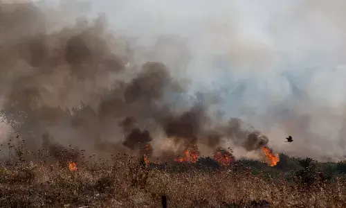 गोलन हाइट्स में बारूदी सुरंग विस्फोट में एक इजरायली घायल