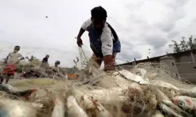 श्रीलंकाई समुद्री डाकुओं ने भारतीय मछुआरों पर किया हमला