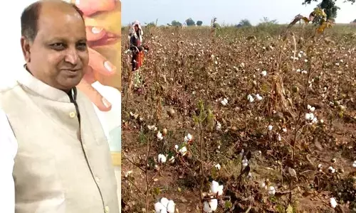 महाराष्ट्र: 83 दिन में यवतमाल के 82 किसानों ने आत्महत्या की, इस साल विदर्भ में 1,567 अन्नदाताओं ने दी जान