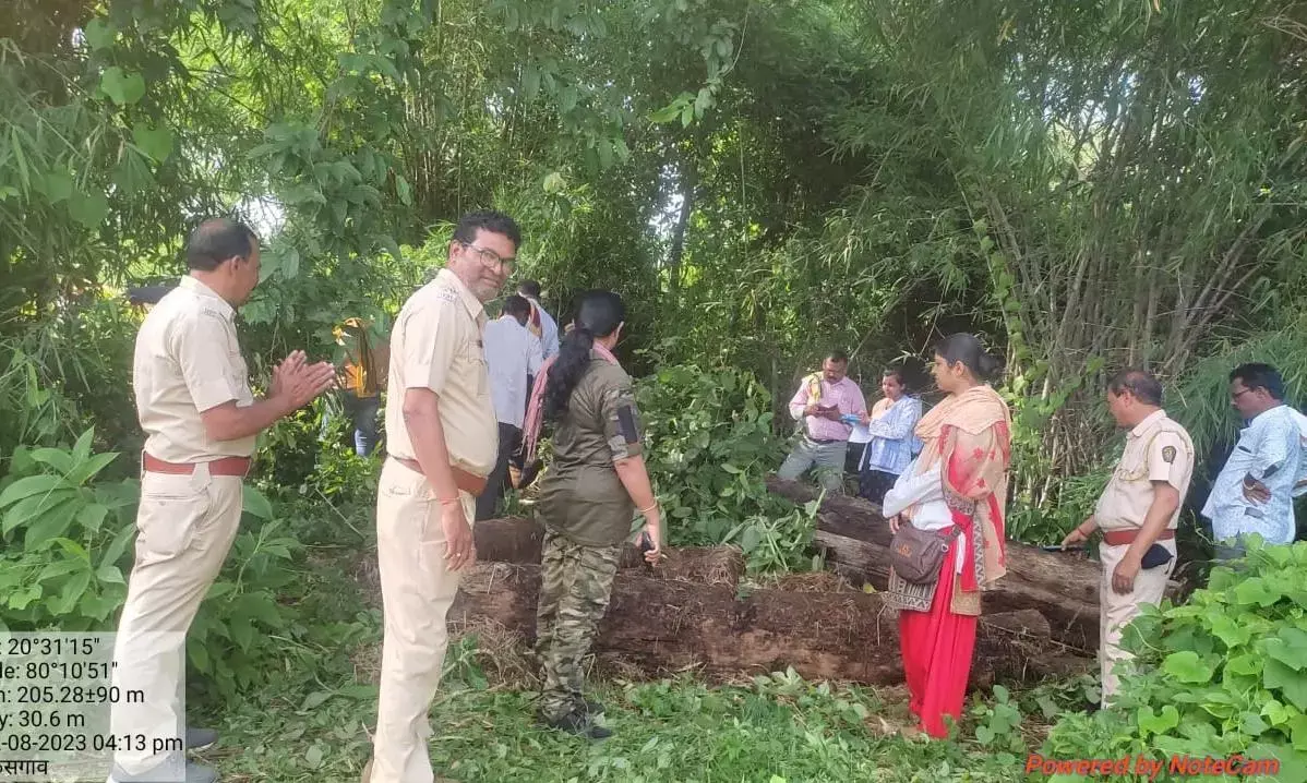 वनविभाग की अनुमति के बगैर ही ग्रामसभा ने कटवा दिए पेड़