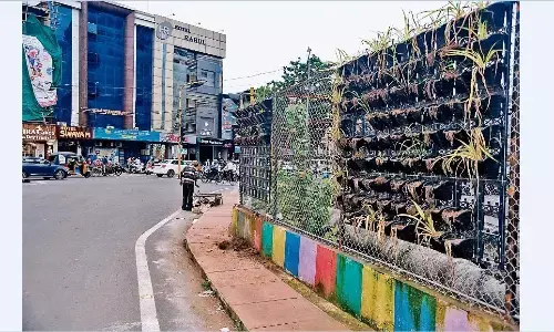 स्वच्छता सर्वेक्षण शुरू, इधर सूख गए हैंगिंग गमलों के पौधे स्वच्छता सर्वेक्षण शुरू, इधर सूख गए हैंगिंग गमलों के पौधे