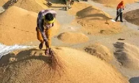 धान खरीदी केंद्रों की जांच के लिए मुंबई की टीम फिर गोंदिया में धान खरीदी केंद्रों की जांच के लिए मुंबई की टीम फिर गोंदिया में