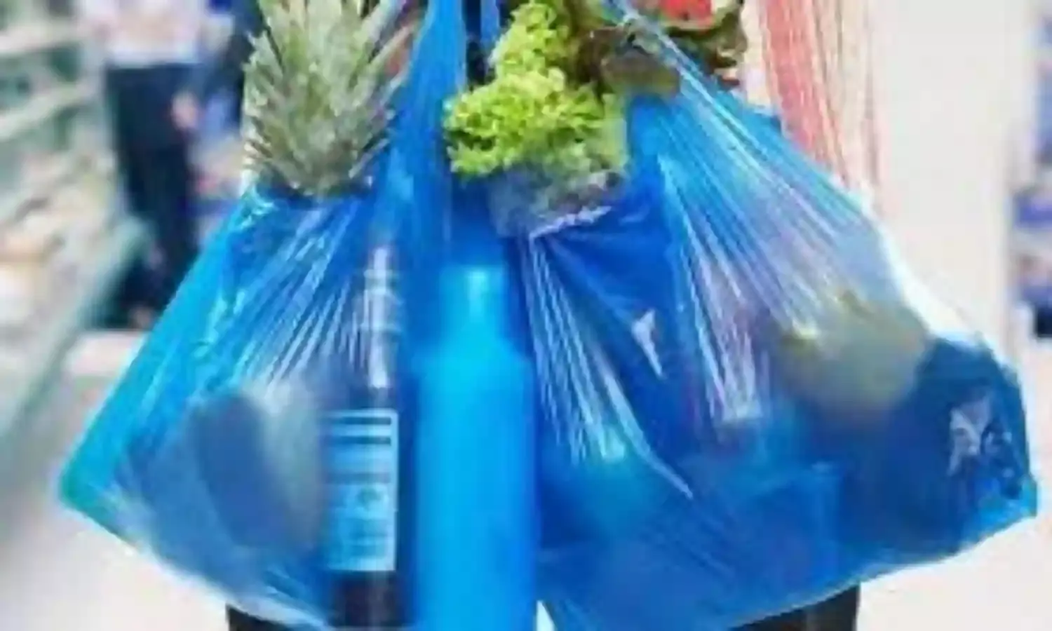 मनपा ने 120 किलो प्लास्टिक बैग किया जब्त