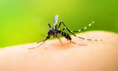 डेंगू का बढ़ रहा खतरा, 24 घंटे में 18 मरीज आए सामने डेंगू का बढ़ रहा खतरा, 24 घंटे में 18 मरीज आए सामने