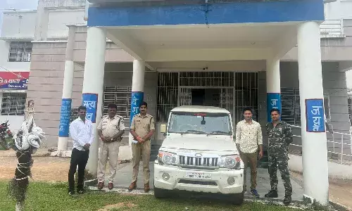 बकरी चोर गिरोह का खुलासा, एक गिरफ्तार तीन फरार बकरी चोर गिरोह का खुलासा, एक गिरफ्तार तीन फरार