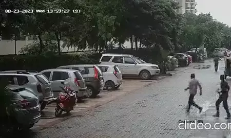 फिर बढ़ रहा है लावारिस कुत्तों का आतंक, कहीं महिला स्कूटी से गिरी, कहीं गार्ड को काटा फिर बढ़ रहा है लावारिस कुत्तों का आतंक, कहीं महिला स्कूटी से गिरी, कहीं गार्ड को काटा