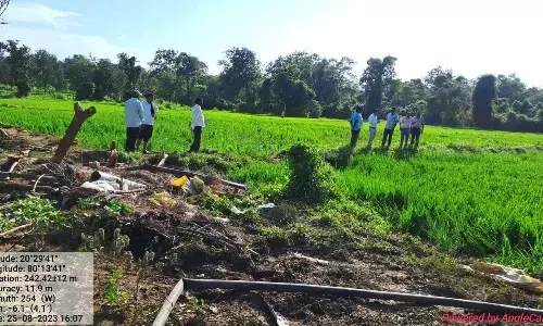 अब मेंढा के जंगल में जंगली हाथियों की एंट्री