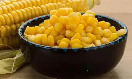 इस तरीके से करें स्वीट कॉर्न को प्रिजर्व, आठ महीने तक कर पाएंगे इस्तेमाल इस तरीके से करें स्वीट कॉर्न को प्रिजर्व, आठ महीने तक कर पाएंगे इस्तेमाल