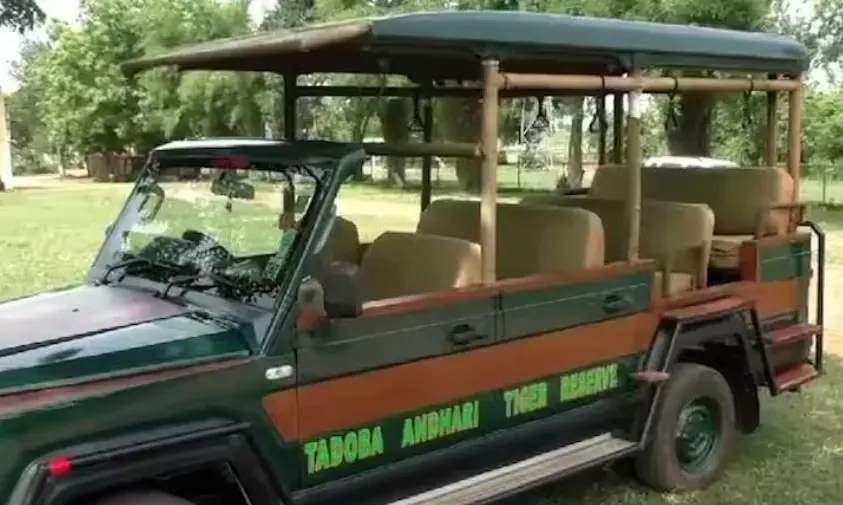 अब एक साथ 9 लोग बैठकर ताड़ोबा सफारी का लेंगे आनंद