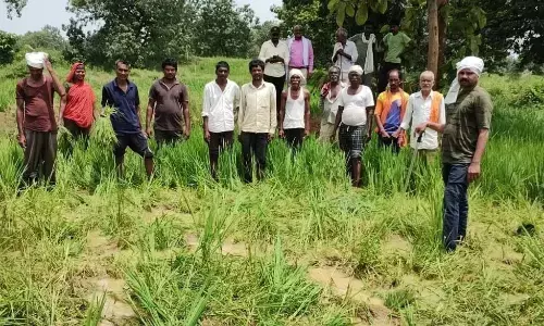 हाथी प्रभावितों को प्रति एकड़ 25 हजार रुपए वित्तीय सहायता मिले