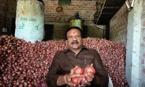 मध्य प्रदेश: प्याज निर्यात पर 40% टैक्स लगाये जाने पर भड़की कांग्रेस, कहा किसान डुबा देंगे भाजपा सरकार को