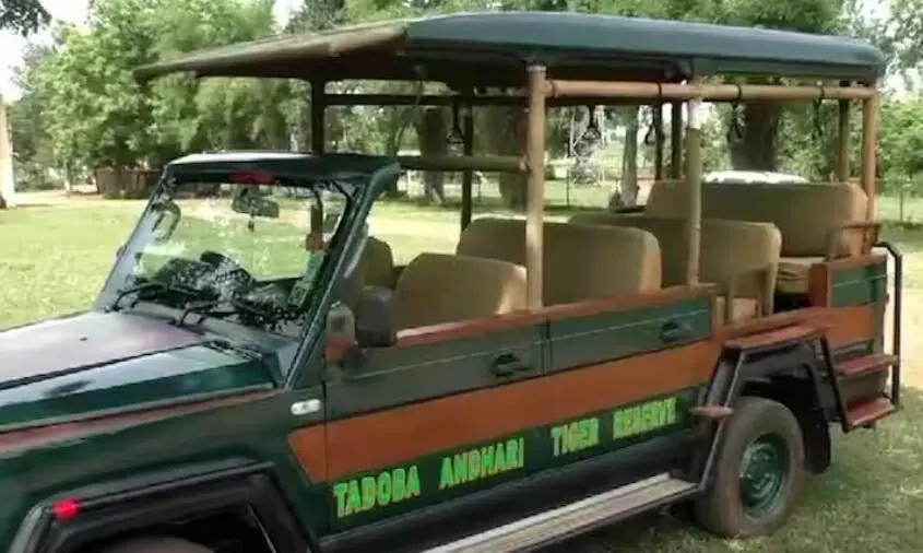 अब एक साथ 9 लोग बैठकर ताड़ोबा सफारी का लेंगे आनंद अब एक साथ 9 लोग बैठकर ताड़ोबा सफारी का लेंगे आनंद