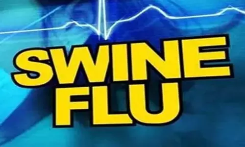 स्वाइन फ्लू के भी बढ़ रहे मरीज, नागपुर मनपा का दावा - पर्याप्त मात्रा में दवाएं है