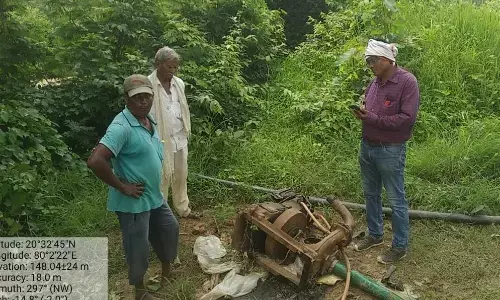 जंगली हाथियों ने 32 किसानों की उजाड़ दी फसलें