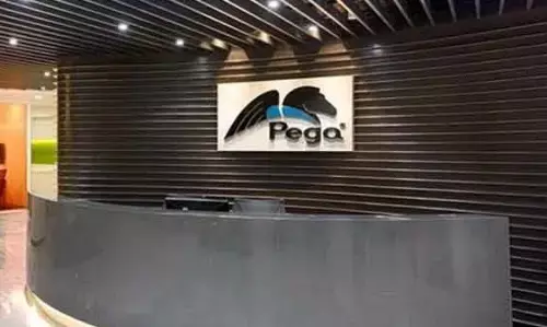 पेगासिस्टम्स ने एक बार फिर की छंटनी, 240 कर्मचारियों को निकाला पेगासिस्टम्स ने एक बार फिर की छंटनी, 240 कर्मचारियों को निकाला