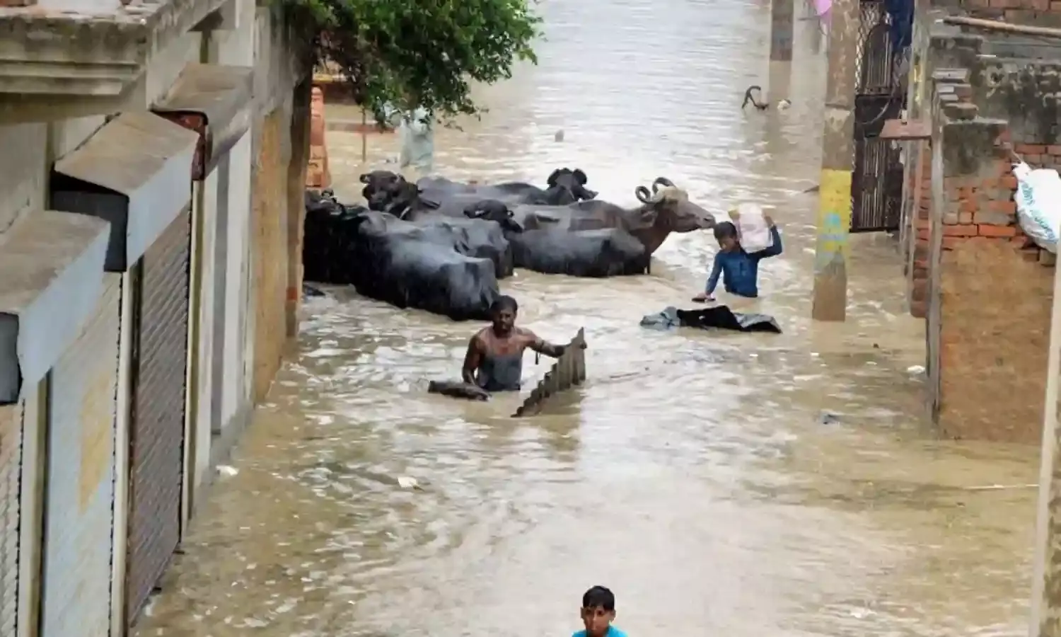 ओडिशा में भारी बारिश के साथ आकाशीय बिजली का कहर, 10 लोगों की मौत, असम में बाढ़ से बिगड़े हालात
