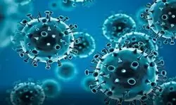 एक्सबीबी और ईजी वेरिएंट की तुलना में कोविड बीए.2.86 कम संक्रामक: विशेषज्ञ एक्सबीबी और ईजी वेरिएंट की तुलना में कोविड बीए.2.86 कम संक्रामक: विशेषज्ञ