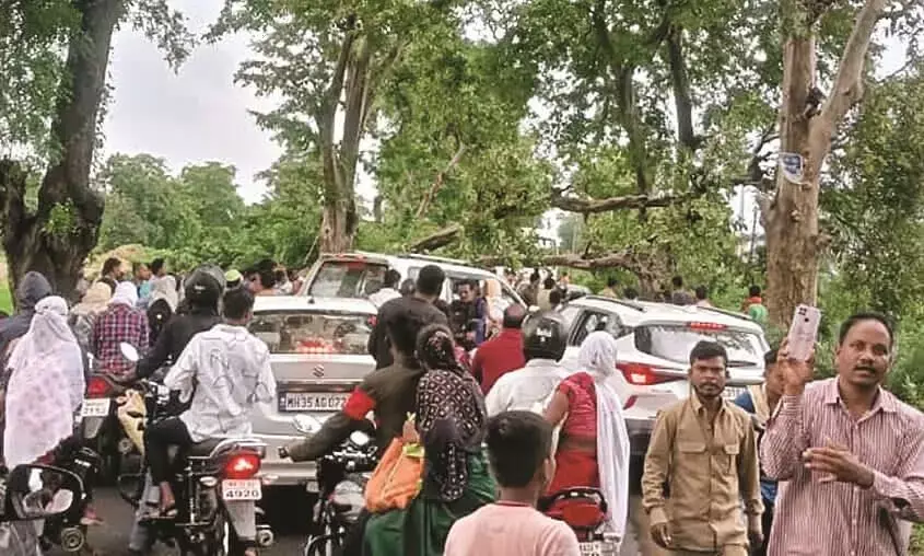 रावणवाड़ी में पेड़ गिरने से गोंदिया बालाघाट मार्ग पर यातायात प्रभावित