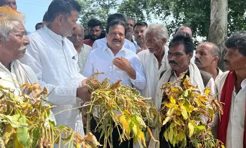 मध्यप्रदेश: खेतों में उतरी कांग्रेस, किसानों के समर्थन में आए सज्जन सिंह वर्मा मध्यप्रदेश: खेतों में उतरी कांग्रेस, किसानों के समर्थन में आए सज्जन सिंह वर्मा