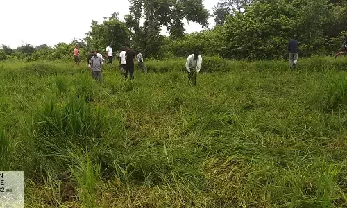 हाथियों ने विहिरगांव में फिर मचाया उत्पात