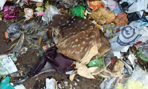 कचरे में मिली हिरण की खाल, तुकूम इलाके की घटना कचरे में मिली हिरण की खाल, तुकूम इलाके की घटना