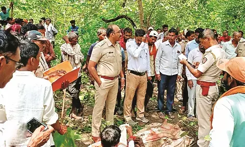 बाघ के हमले में किसान की गई जान बाघ के हमले में किसान की गई जान