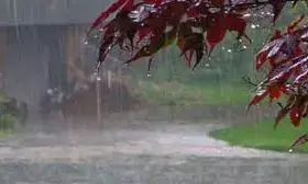 वर्धा जिले में हुई 5.6 मिमी बारिश