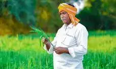 किसानों को फसल बीमा की अग्रिम राशि उपलब्ध कराने की करें व्यवस्था - मुख्यमंत्री