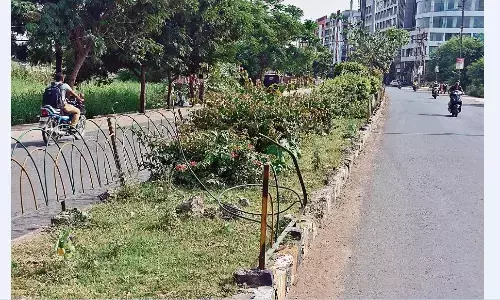 नुकीले भालों-सी उभरीं डिवाइडर की ग्रिल, खतरों के बीच सफर