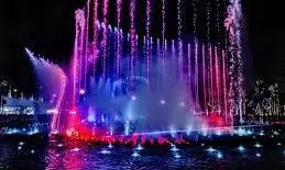 कीड़ों ने बिगाड़ा म्यूजिकल फाउंटेन का खेल, जल्द वायर बदले जाएंगे