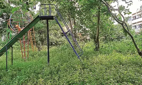 सार्वजनिक उद्यान में सांप और मच्छरों का आतंक