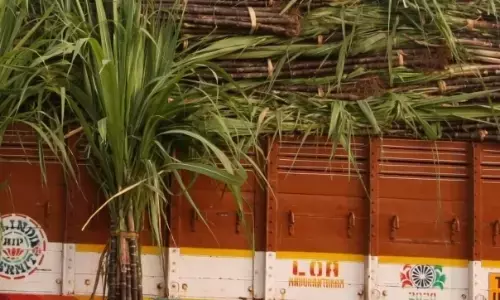 ट्रक के हाईटेंशन तार के संपर्क में आने से दो की मौत ट्रक के हाईटेंशन तार के संपर्क में आने से दो की मौत