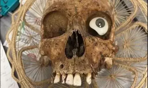 अमेरिका में दानपेटी से इंसान की खोपड़ी मिलने पर लोगों की कांपी रूह, पुलिस कर रही मामले की जांच