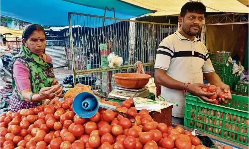 सब्जी के ठेलों पर पोर्टेबल लाउडस्पीकर