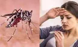 दावा है की अब नियंत्रण में संक्रमण, हकीकत की जांच का सामान ही नहीं दावा है की अब नियंत्रण में संक्रमण, हकीकत की जांच का सामान ही नहीं