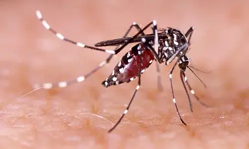 डेंगू के बढ़ते मामलों के बीच स्वास्थ्य सचिव ने निजी अस्पतालों के लिए जारी की गाइडलाइन