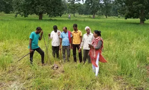 किसानों की निगाहों के सामने ही उजड़ गई फसलें