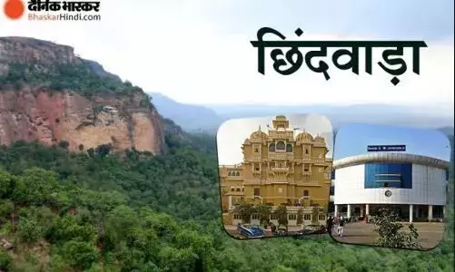 पेड़ से टकराई कार परिवार के दो सदस्यों की मौत, चालक सहित चार लोग घायल, नागपुर से इलाज कराकर वापस सुहागपुर लौट रहा था परिवार पेड़ से टकराई कार परिवार के दो सदस्यों की मौत, चालक सहित चार लोग घायल, नागपुर से इलाज कराकर वापस सुहागपुर लौट रहा था परिवार