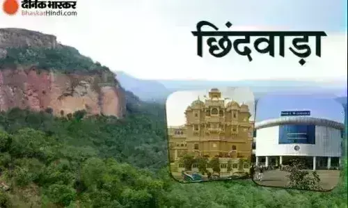 फावड़े से हमला कर बड़े भाई को उतारा मौत के घाट फावड़े से हमला कर बड़े भाई को उतारा मौत के घाट