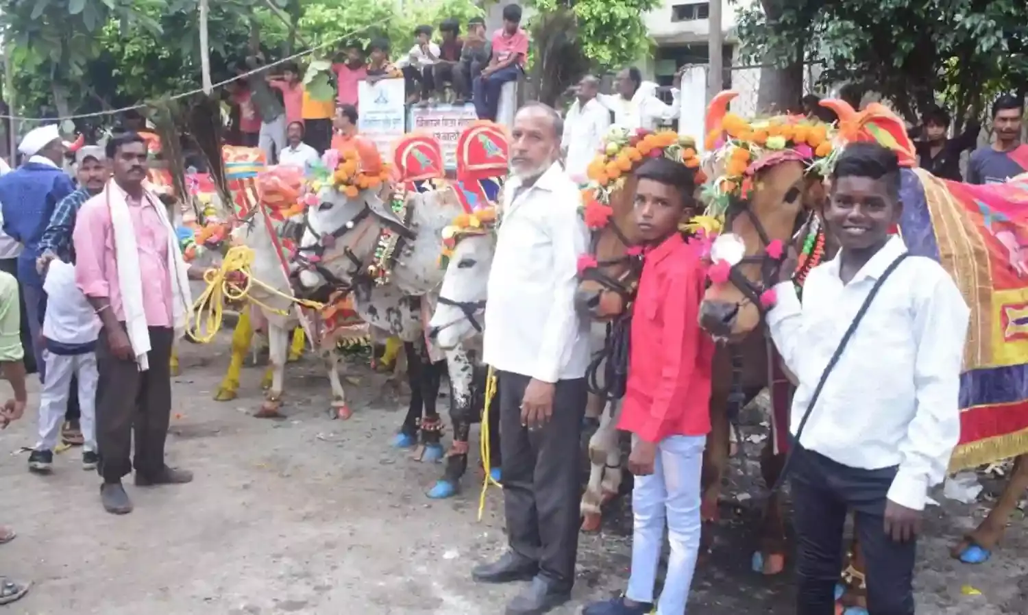 आकर्षक श्रृंगार के साथ प्रतियोगिता में आयी बैलजोड़ियों ने जीते दिल