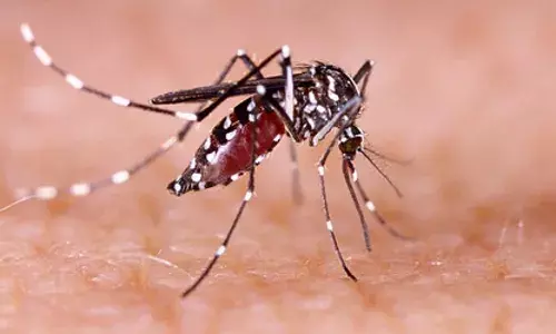 बिहार के सिवान में डेंगू का प्रकोप, मलिकान गांव में मामलों की संख्या 42 हुई बिहार के सिवान में डेंगू का प्रकोप, मलिकान गांव में मामलों की संख्या 42 हुई