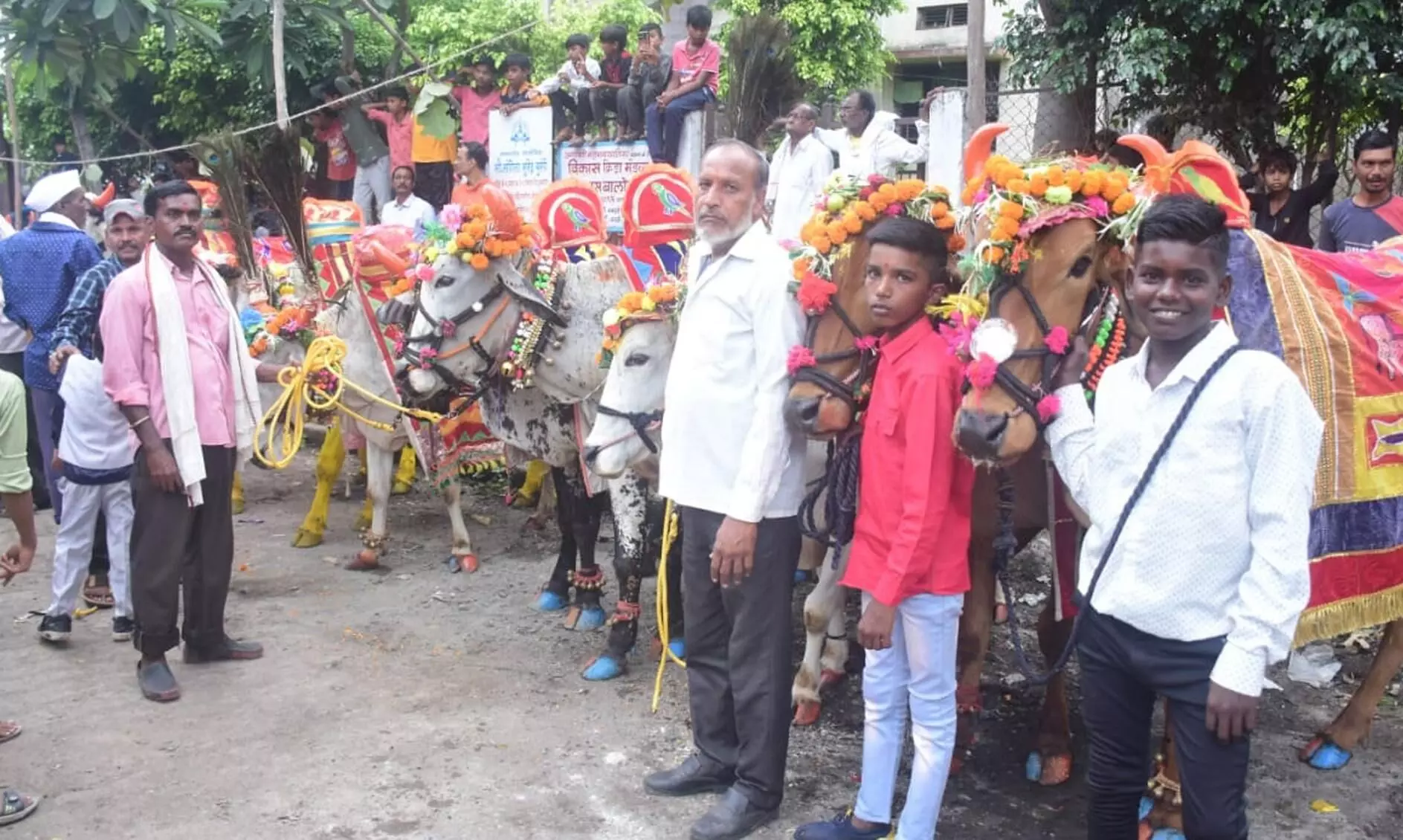 आकर्षक श्रृंगार के साथ प्रतियोगिता में आयी बैलजोड़ियों ने जीते दिल आकर्षक श्रृंगार के साथ प्रतियोगिता में आयी बैलजोड़ियों ने जीते दिल