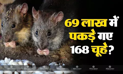 रेलवे ने 168 चूहों को पकड़ने के लिए लाखों रुपये लूटाए? बात बढ़ने पर लखनऊ मंडल ने दिया जवाब, जानें