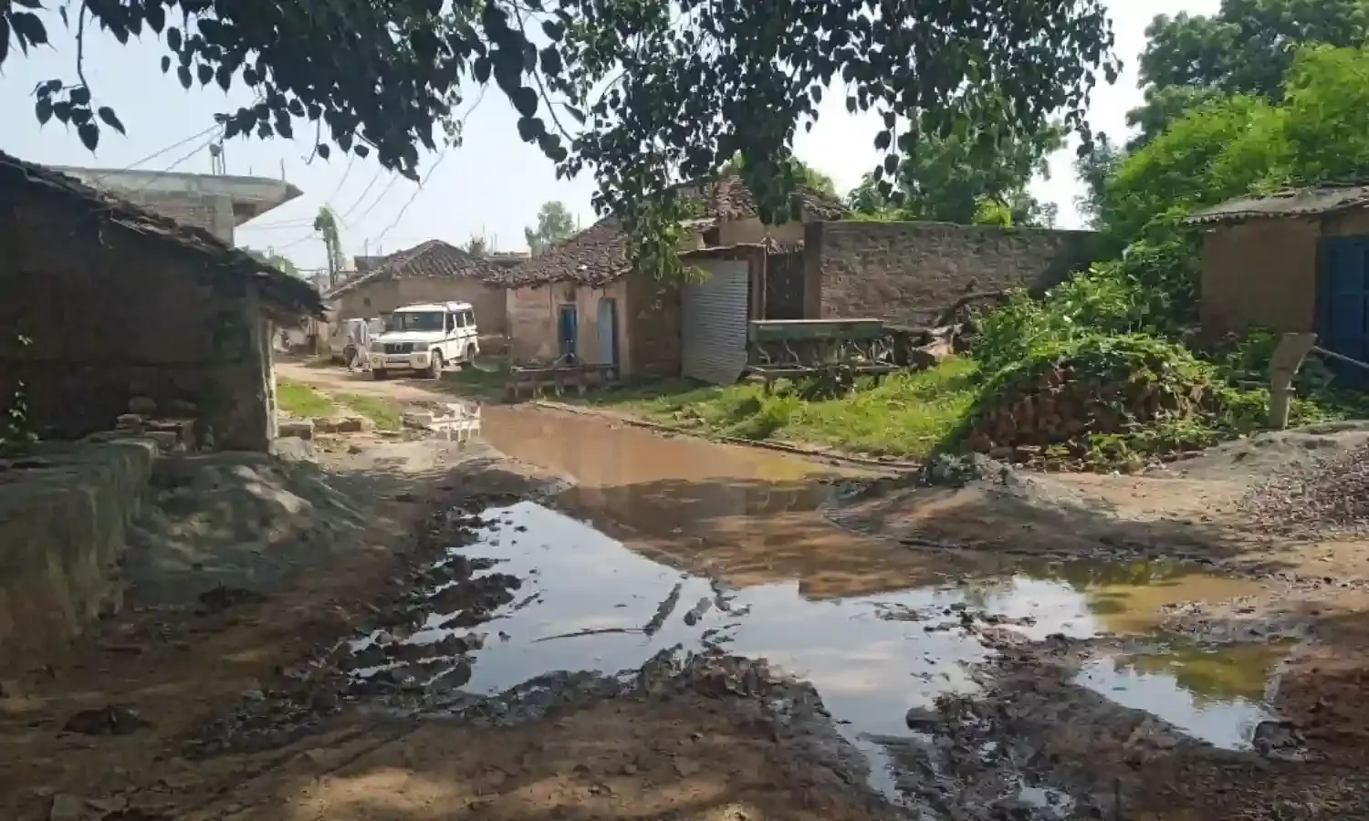 जलभराव से दलदल बनीं सड़क, पनप रहे मच्छर