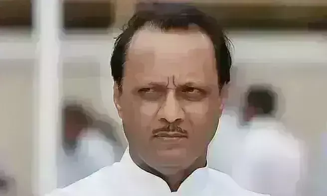 पडलकर की अजित पर अभद्र टिप्पणी से भड़की राकांपा