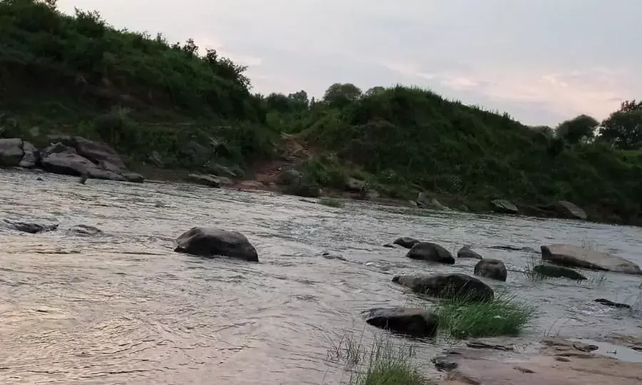स्कूल जाने के लिए हर दिन केन नदीं पार करते हैं नुनागर सहित आधा दर्जन गांव के बच्चे