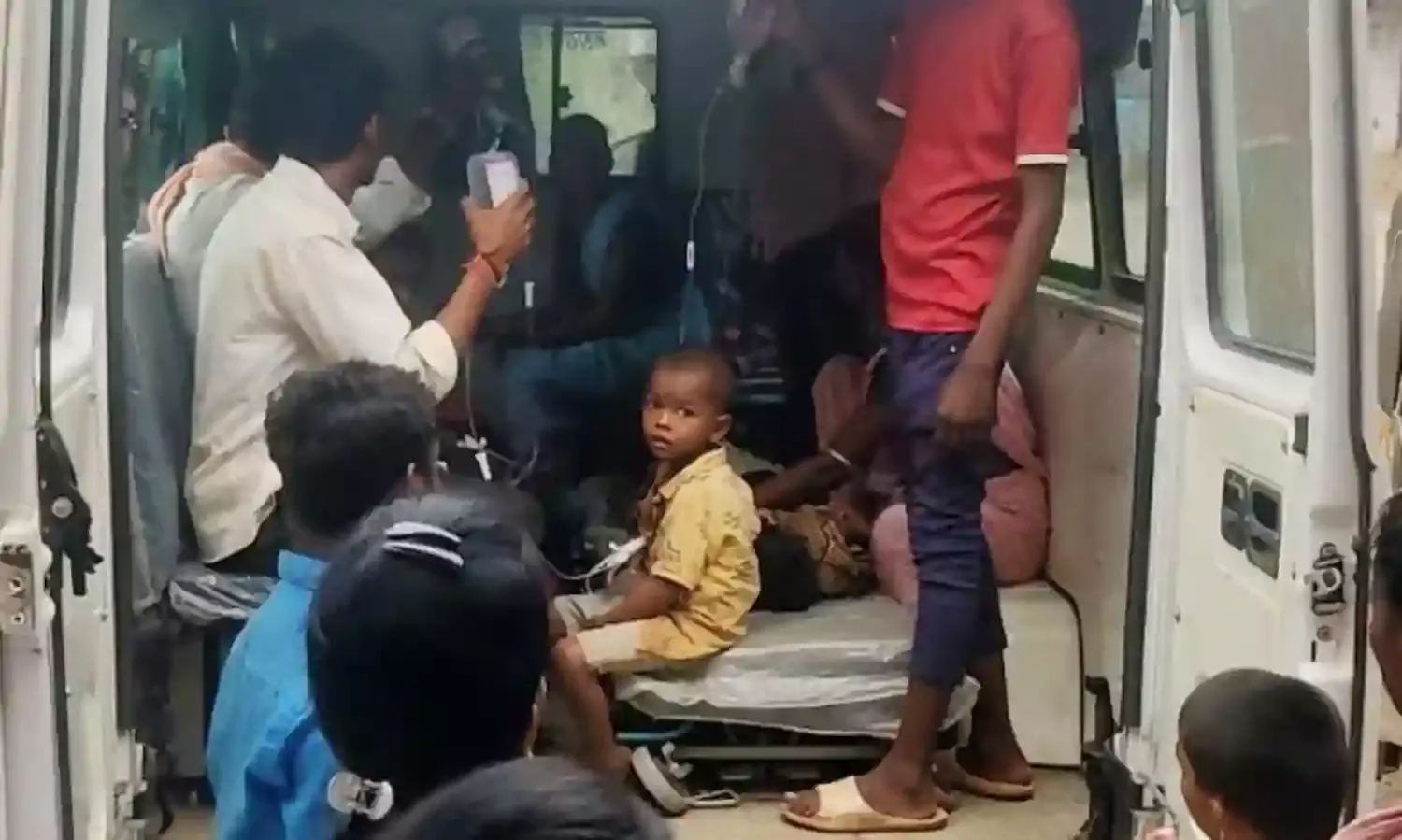 चंद्रज्योति के बीज खाने से 7 बच्चों को विषबाधा