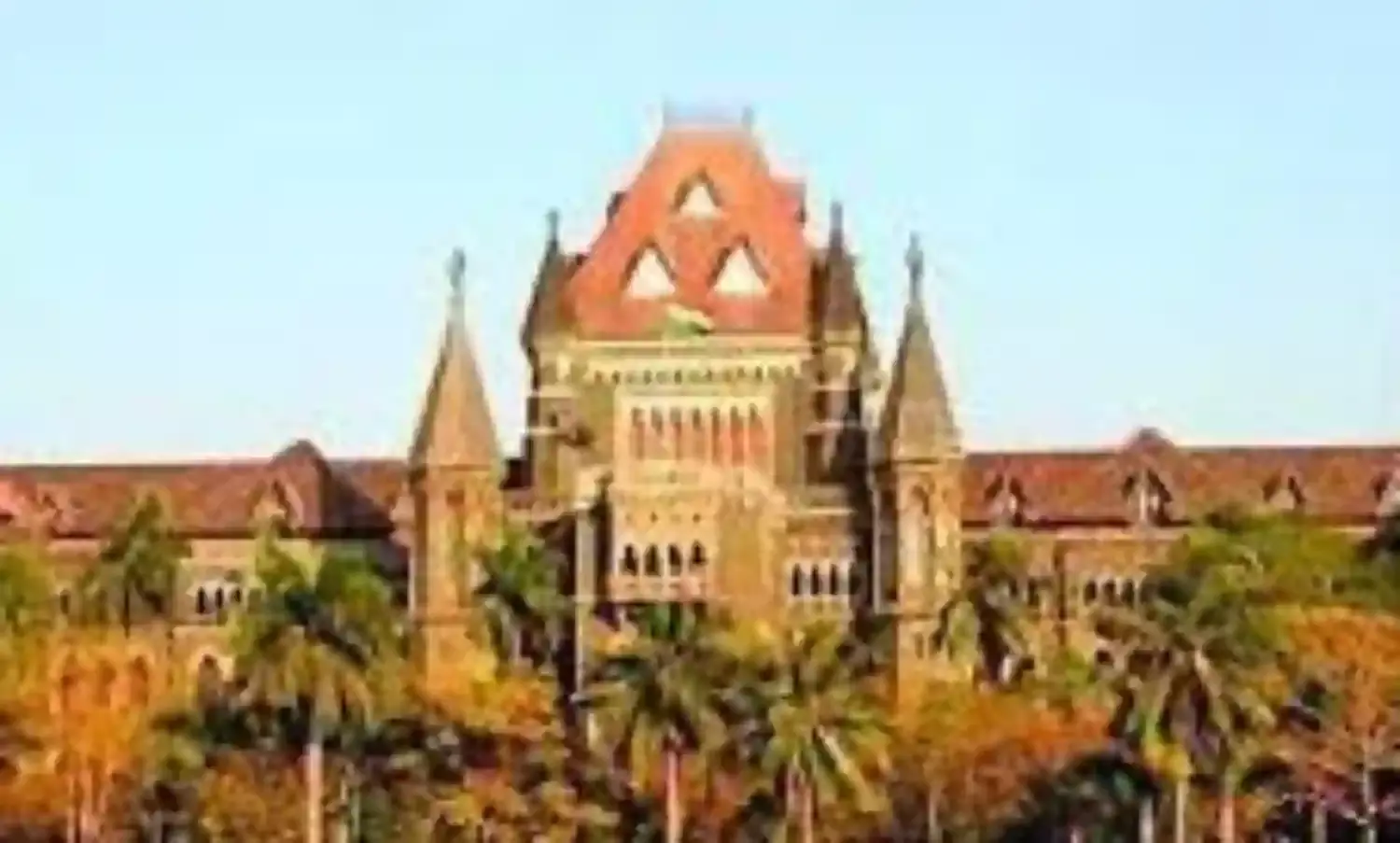 बॉम्बे हाईकोर्ट ने माओवादी संबंधों के आरोपी महेश राऊत को दी जमानत