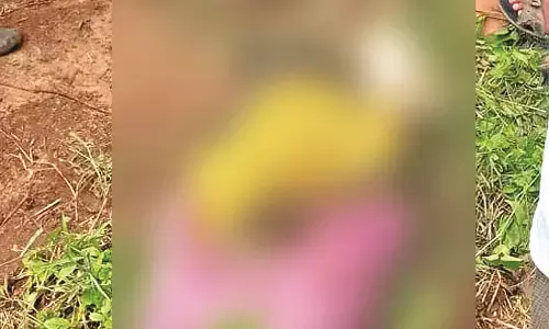 धान के खेत से कचरा निकालते समय लगा बिजली का झटका